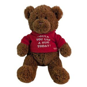 Gund Could You Use A Hug Brown Teddy Bear Plush #16999 Red Hoody 12" Stuffed Toy
